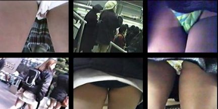 �p���`������